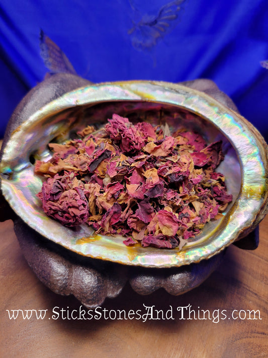 Moroccan Rose Buds