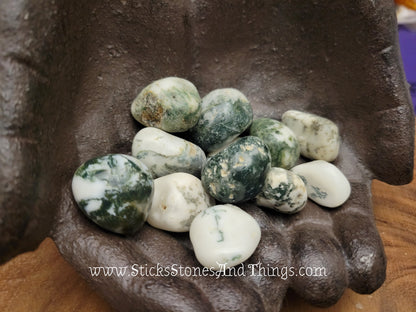 Tree Agate Tumbled Stone 1 inch