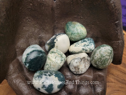 Tree Agate Tumbled Stone 1.25 inches