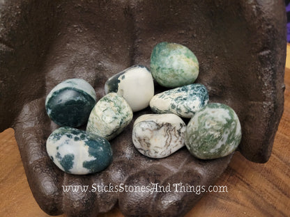 Tree Agate Tumbled Stone 1.25 inches