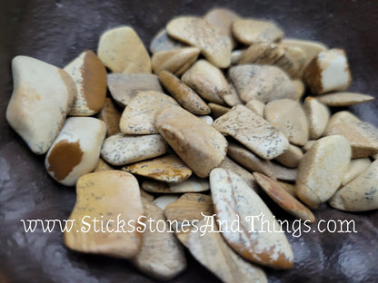 Picture Jasper Tumbled Stone .75-1 inches