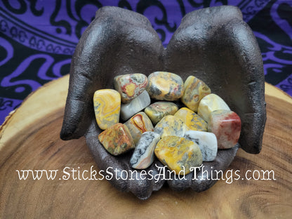 Crazy Lace Agate Tumbled Stones 1 inch