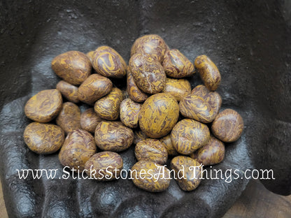 Elephant Jasper Tumbled Stone .75 inch