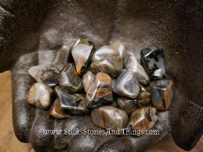 Petrified Wood Tumbled Stone .75-1 inch