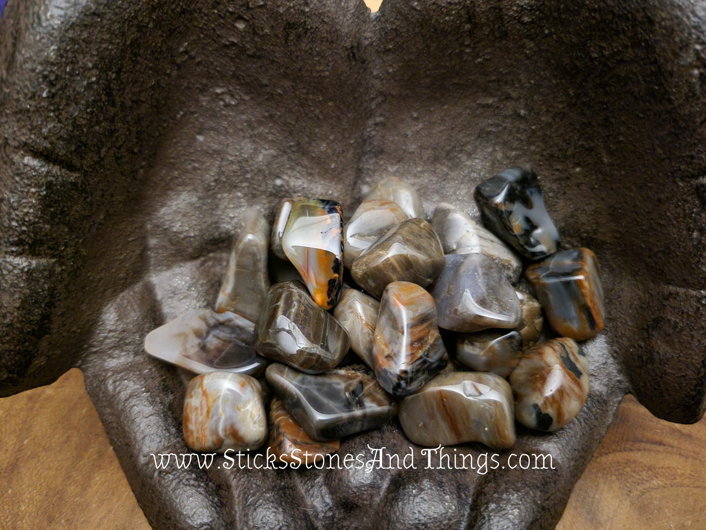 Petrified Wood Tumbled Stone .75-1 inch