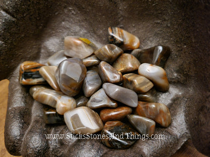 Petrified Wood Tumbled Stone .75-1 inch