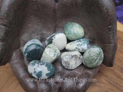 Tree Agate Tumbled Stone 1.25 inches