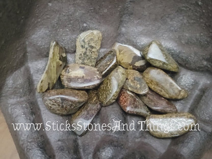 Bronzite Tumbled Stone 1-1.25 inches