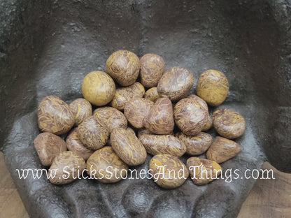 Elephant Jasper Tumbled Stone .75 inch