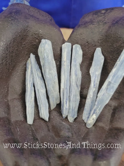 Blue Kyanite Blade rough stone 2.25-3.5 inches