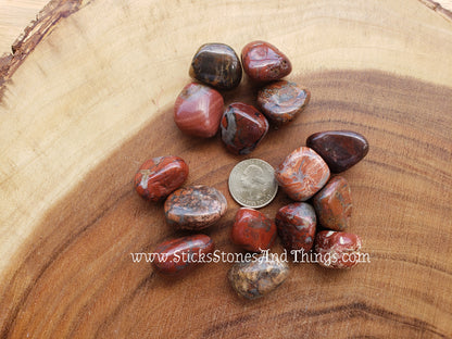 Brecciated Jasper large tumbled 5 pack