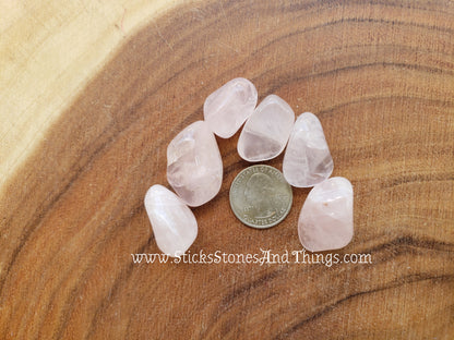 Rose Quartz Tumbled medium 6 pack