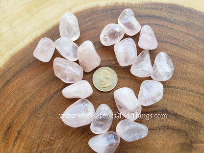 Rose Quartz Tumbled medium 6 pack