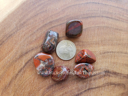 Brecciated Jasper medium tumbled 6 pack