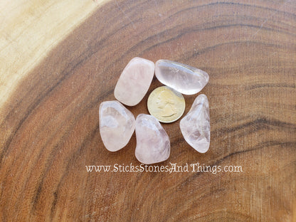 Rose Quartz Tumbled large 5 pack