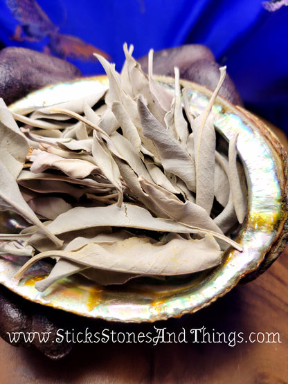 White Sage Leaves and Clusters 1 ounce