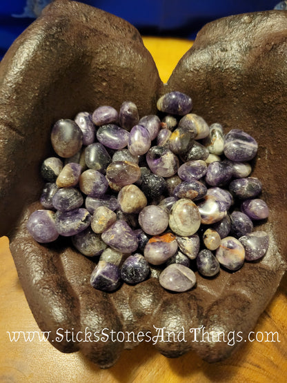 Black Amethyst Tumbled Crystals small .5-.75 inch