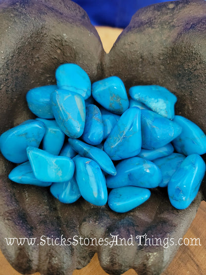 Tumbled Blue Howlite 1-1.25 inches