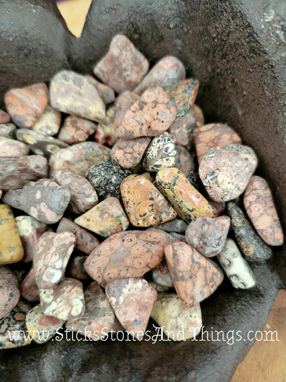 Leopard Skin Jasper tumbled stone .5-.75 inch