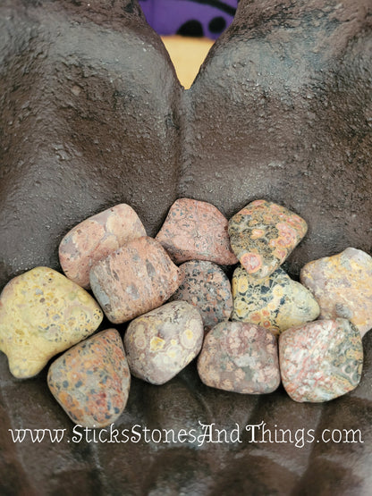 Leopard Skin Jasper tumbled stone 1 inch