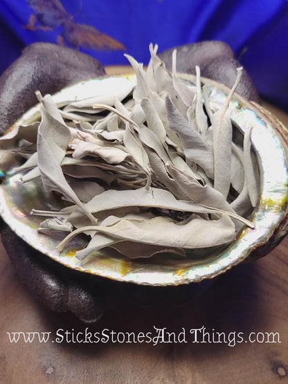 White Sage Leaves and Clusters 1 ounce